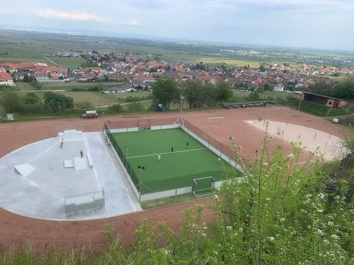 Sport- und Freizeitgelände mit Gruppenrastplatz Kallstadt - Thumbnail