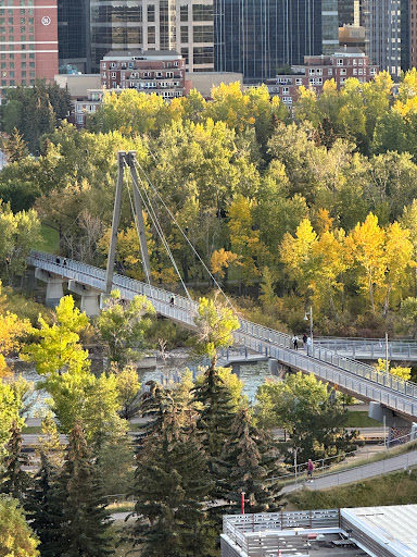McHugh Bluff - Visual