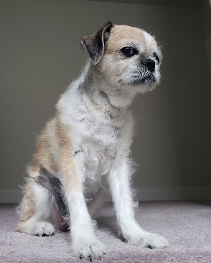 Cornell Road Veterinary Clinic - Thumbnail