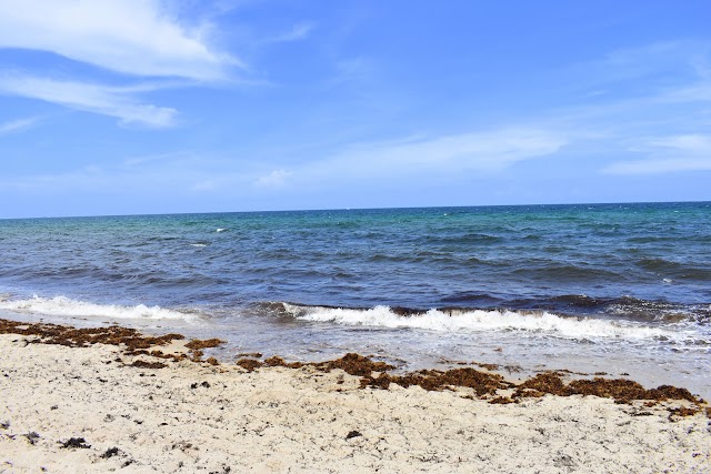 Delray Public Beach