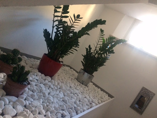 Dr. Sam Jalbout - Thumbnail