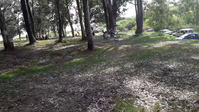 Opiniones de Parque Municipal Punta Espinillo en Sarandí Grande - Camping
