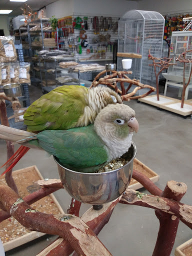 BirdSmart - Visual