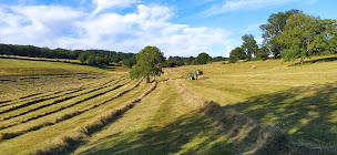 Photo n°21 de La ferme de l'Enfer à Saint-Julien-de-Jonzy (Ferme)