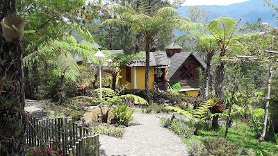 Photos of Ramtzul Resort