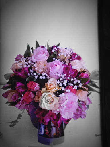 Beth Studio - Visual