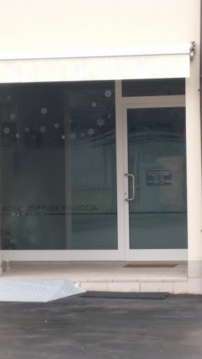 Milani Giuseppina - Visual