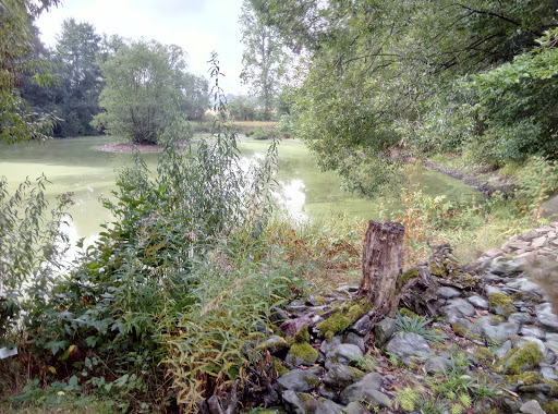 Naturschutzstation Herrenhaide - Thumbnail