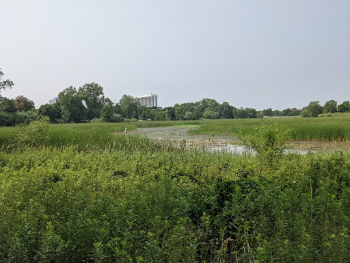 General Mills Nature Preserve - Thumbnail