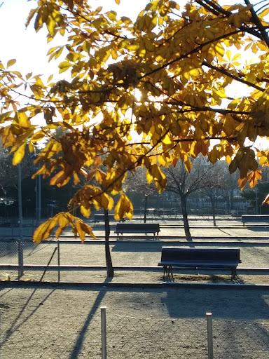 Chito Park - Thumbnail