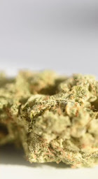 Photo n°7 de SATYVA PERPIGNAN : CBD shop à Perpignan (Boutique de cigarettes électroniques)