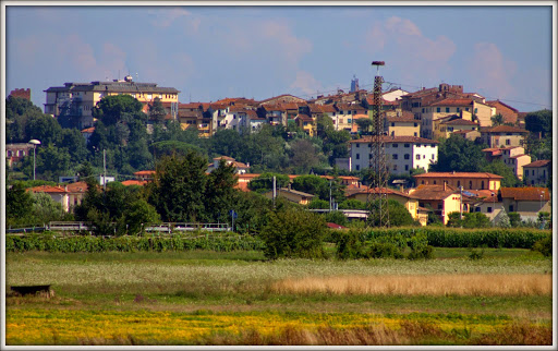 Info Point Fucecchio Servizi S.R.L. - Thumbnail