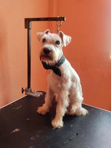 Servicios Veterinarios Jacky