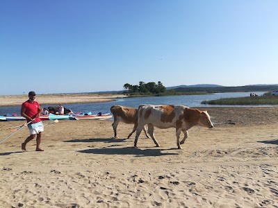 İğneada Kamp Alanı