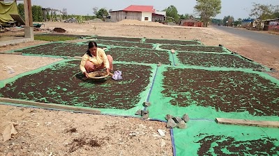 Photos of Snoul Wildlife Sanctuary