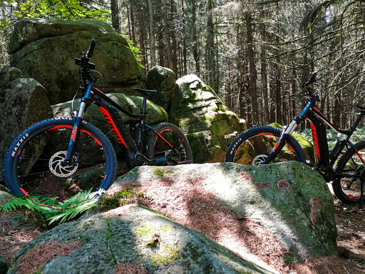 Bike 950 Wasserkuppe - Thumbnail