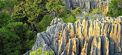 photo of Green Island Discovery Madagascar