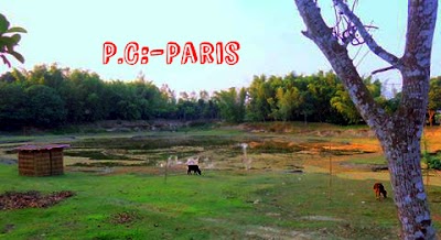 Photos of Abar Pukur - আবার পুকুর