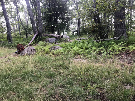 Lovingston Springs Trailhead - Thumbnail