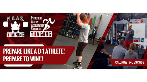 M.A.A.S. Training - Visual