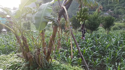 Photos of Shree Sarvodaya Higher Secondary School, Hugdishir, Bareng, Baglung