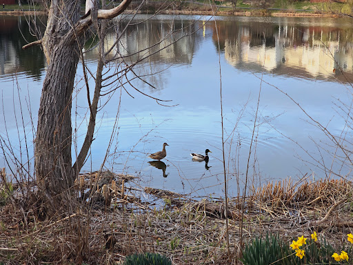 Evermoore Park - Visual