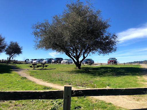 Anniversary Trail Picnic Tables - Thumbnail