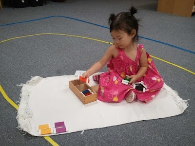 Montessori School of Champaign-Urbana Toddlers - Middle School