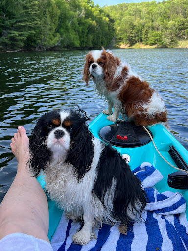 Ausable River Camping, site 070D - Thumbnail