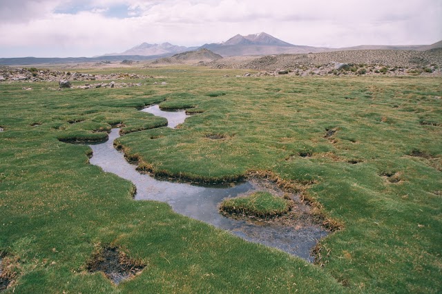 Parc national Lauca