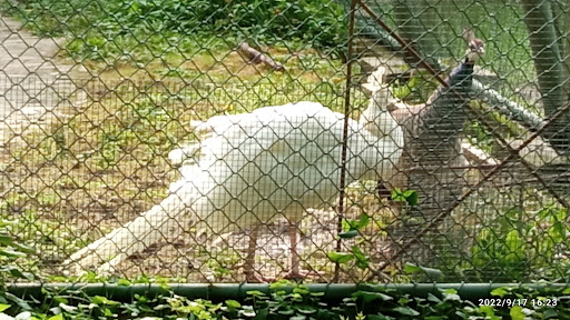 Vogelpark Eggenstein-Leopoldshafen Gallery - France