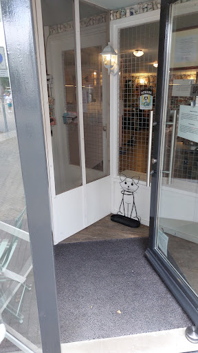 Kattencafé Skatjes Gallery - Netherlands