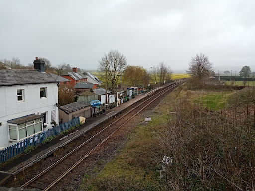 Newton St Cyres - Thumbnail