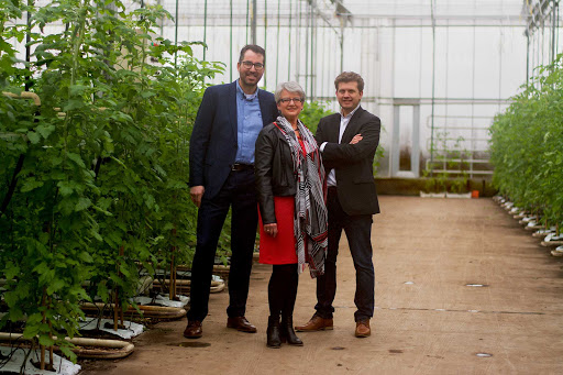 Accountantskantoor Voorne-Putten - Thumbnail