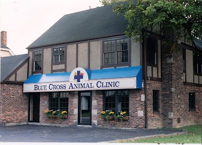 VCA Blue Cross Animal Hospital of Amherst