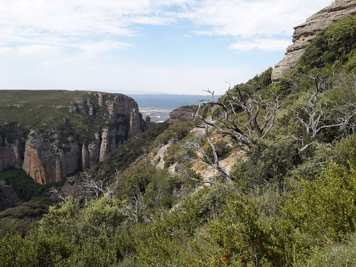 Punta Brasallos - Visual