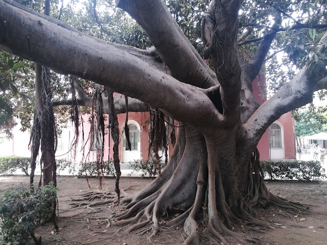 Giardino Aretusa
