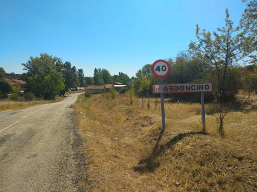 Ardoncino - Visual