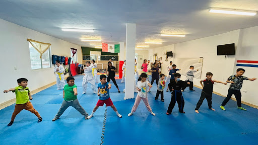 Taekwondo Arteaga OMTKD - Thumbnail