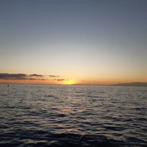 Monte Cristo Catamaran, 5-star Whale and Dolphin Tours, Boat Trips Tenerife - Thumbnail