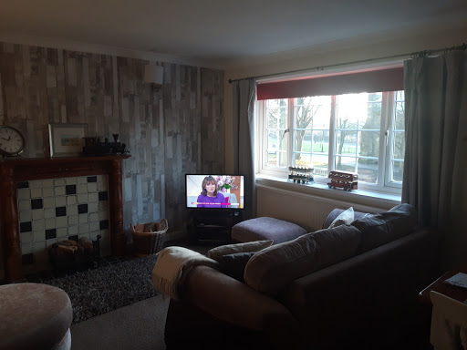 Peter David Properties - Visual