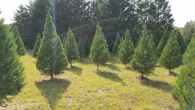 Photos of Merry Christmas Tree Farm