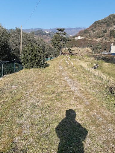 Passeggiata lungofiume - Thumbnail