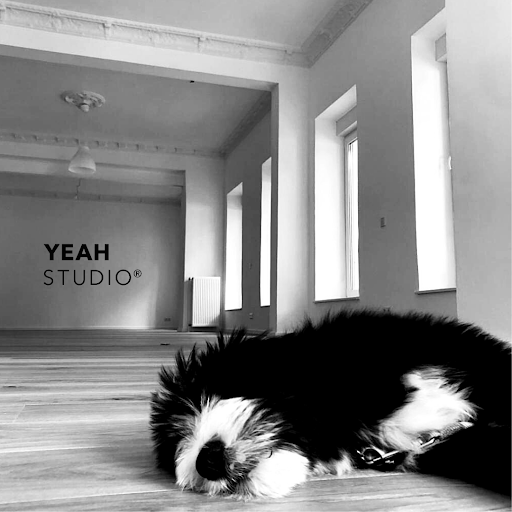 YEAH STUDIO - Visual