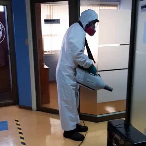 Opiniones de SANITYPLAGAS en Temuco - Empresa de fumigación y control de plagas