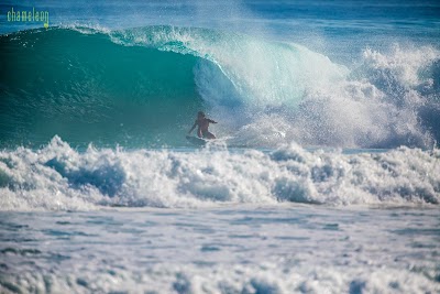 Photos of Caribbean Surf School (Cabarete Surf Camp)