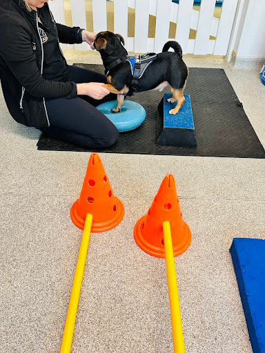 Vault Physiotherapy - Visual