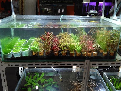 Photos of Aqua Deal Pekanbaru