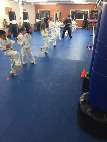 Team Martial Arts Inc. - karate in Livermore, California