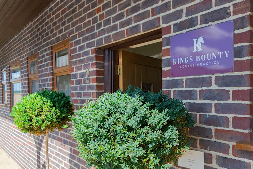 Kings Bounty Equine Practice Gallery - United Kingdom